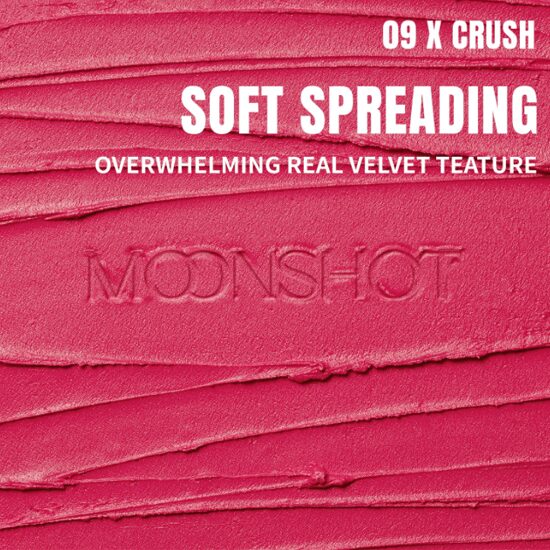 moonshot Performance Lip Blur Fixing Tint (9 Colors) 3.5g - EmpressKorea