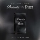 "meta_description": "Explore KIM JAE JOONG's K-Pop album - find beauty in chaos and emotional depth.",