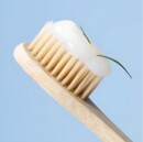 "meta_description": "AROMATICA Tea Tree Balancing Toothpaste offers natural freshness and healthier gums.",