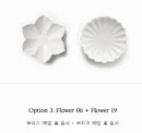 Flower 06+19