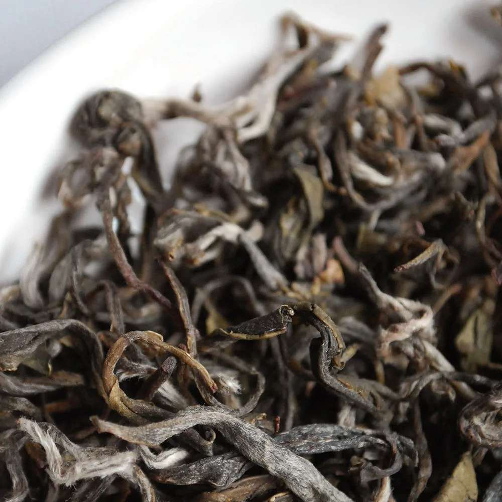 KAINE Kombu Hydrating Daily Cleanser (155g) - Image 4