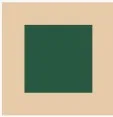 Color 5