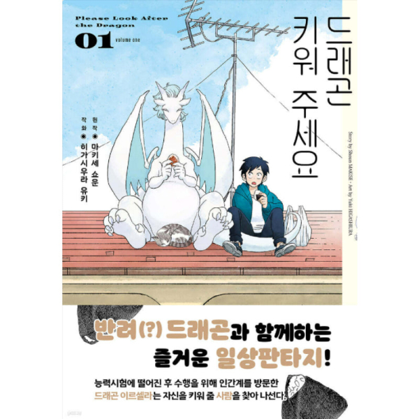 Please Look After the Dragon