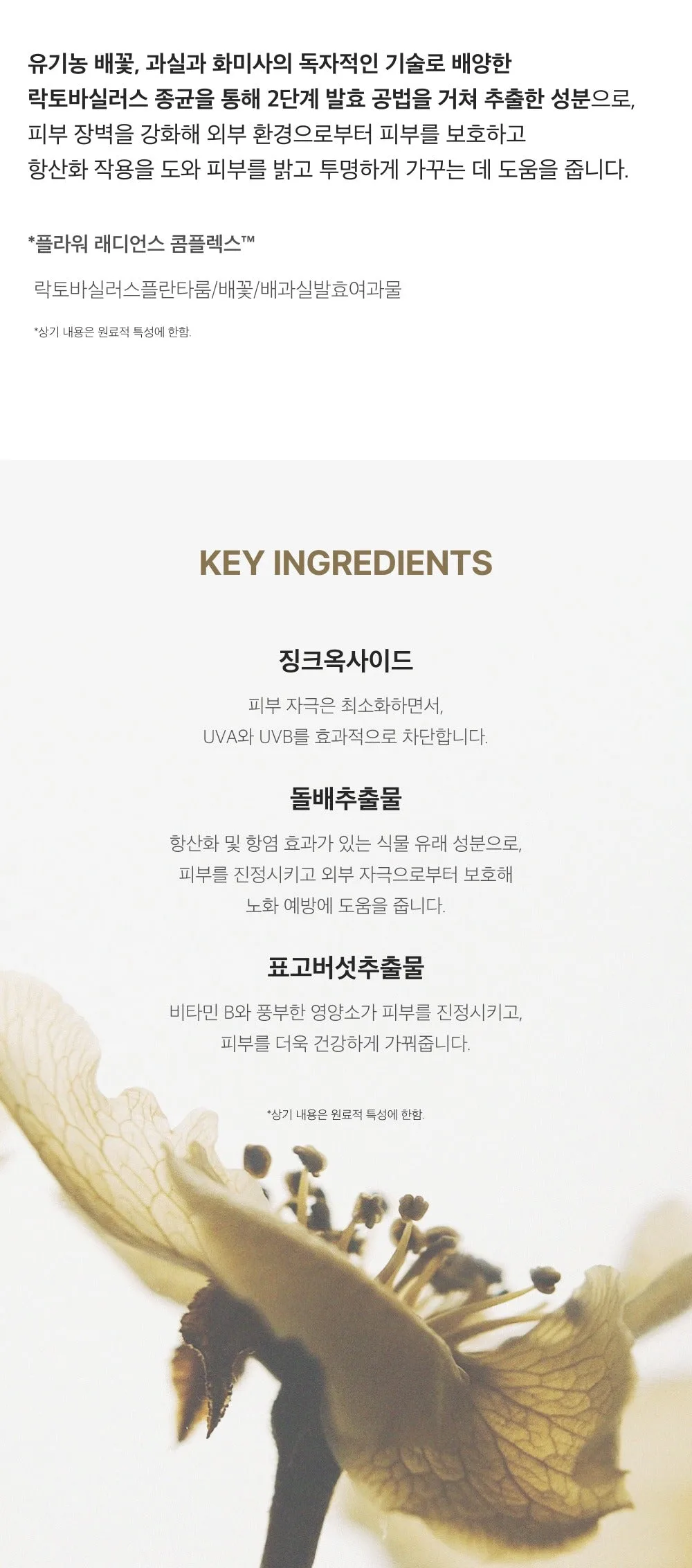 Product Detail