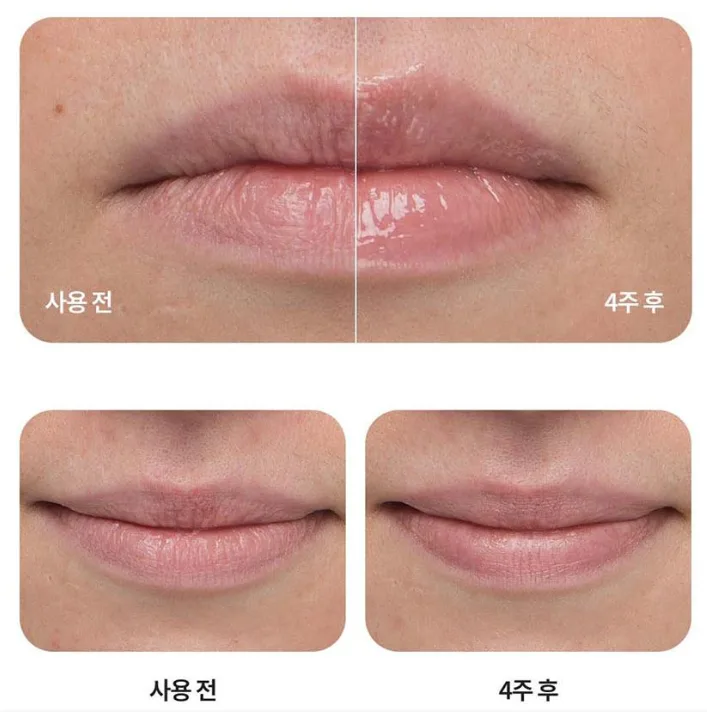 LANEIGE BOUNCY & FIRM LIP TREATMENT 12g - Image 2