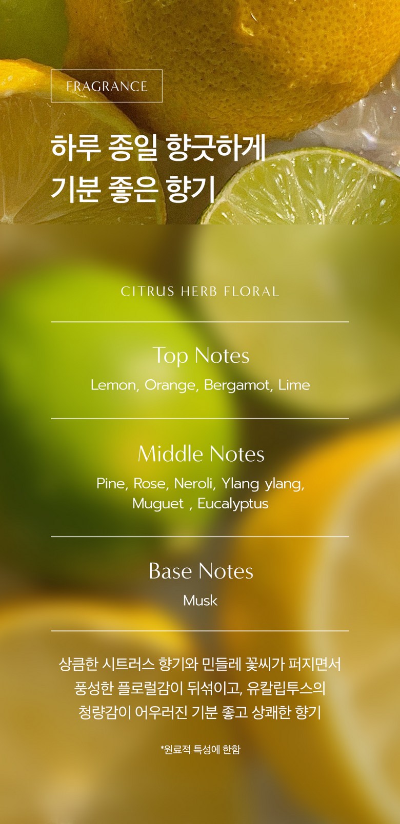 Dr. Seed Tea Tree Shampoo Detail