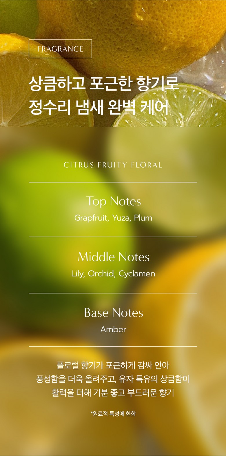 Dr. Seed Peppermint Shampoo Detail