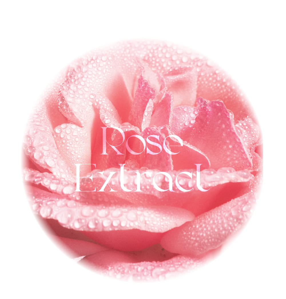 VERAMORE Plumping Lip Balm Rose Detail