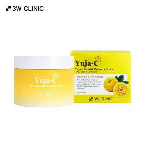 3W CLINIC Yuja Seed Blemish Recovery Cream 110g - Image 3