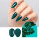 JC12 Blue Green