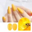 JC73 Honey Bee