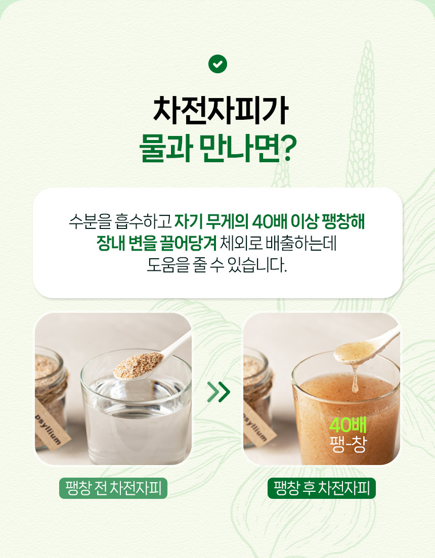 Funeat Psyllium Husk Dietary Fiber Detail