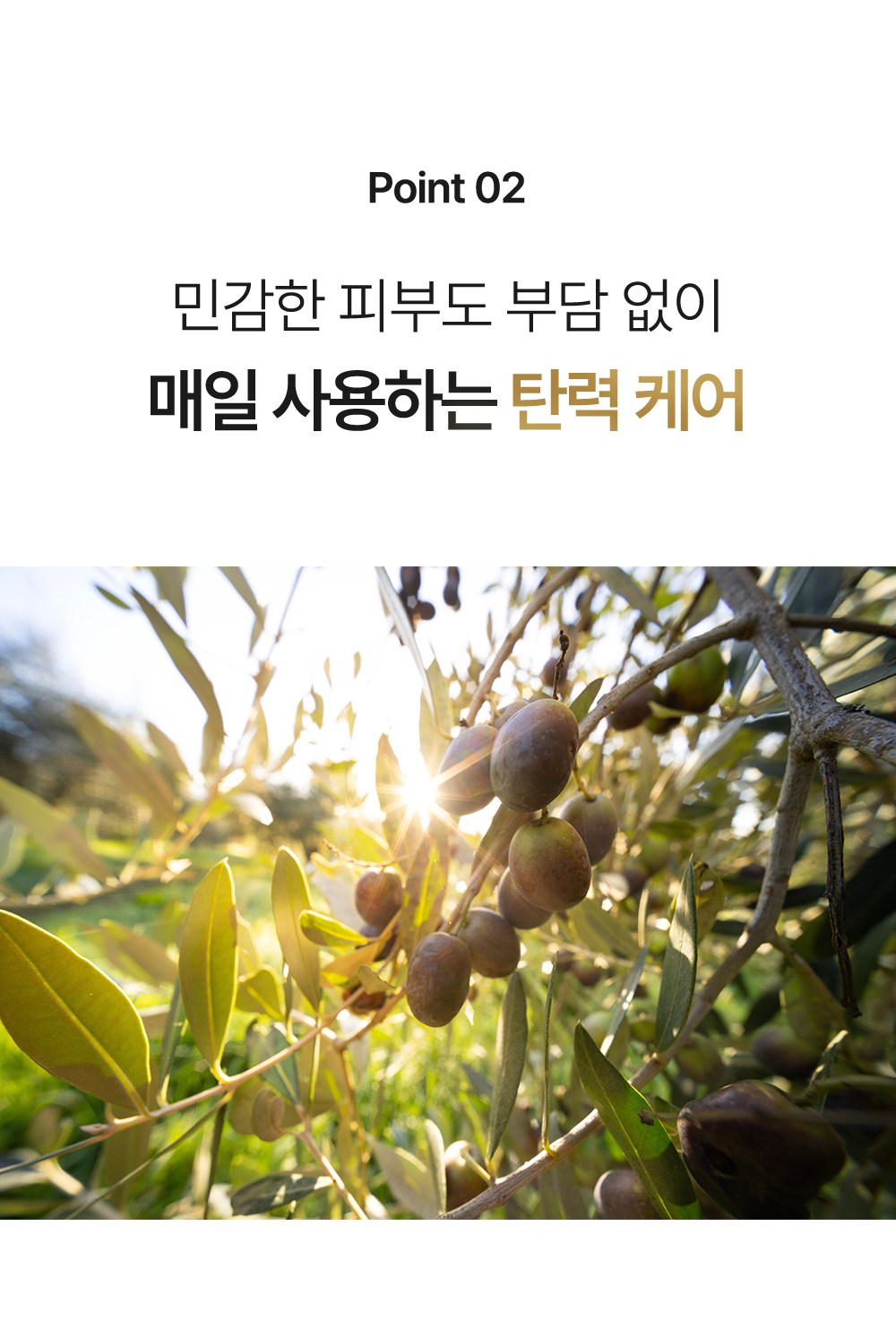 The Fresca Lab Repair Revital Gold Ampoule Detail