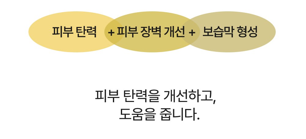 The Fresca Lab Repair Revital Gold Ampoule Detail