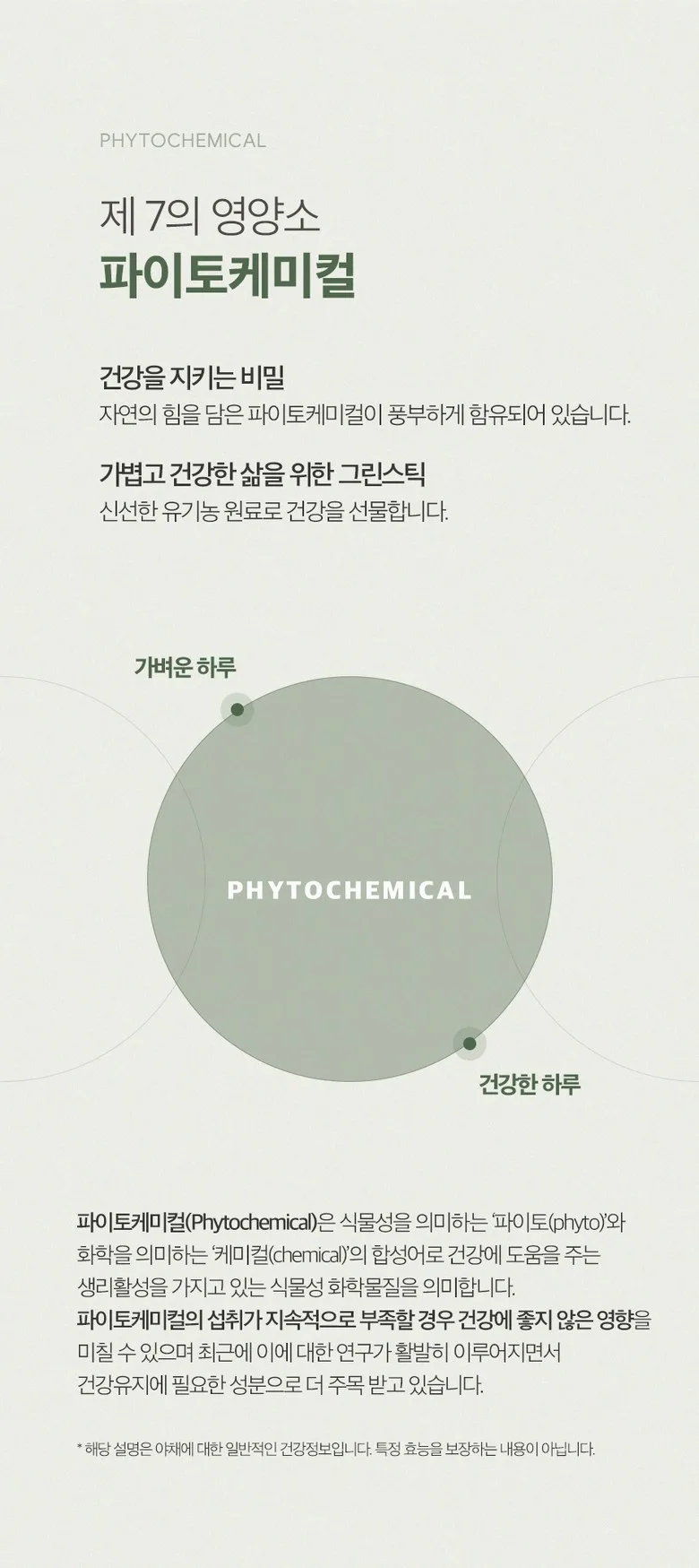 Daily Routine Green Stick Phytochemicals