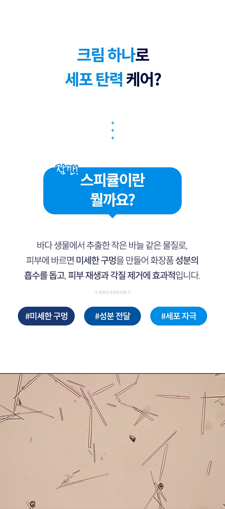 Pongdang Spicule Cream Detail 6