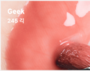 245 Geek