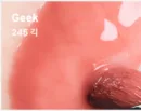 245 Geek