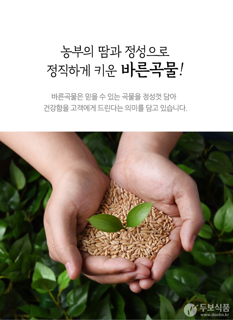 Bareungokgum Rice Germ Detail 3