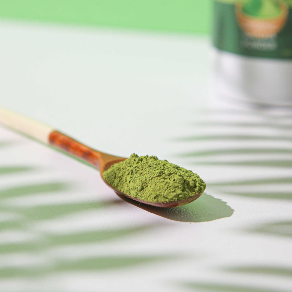 BEE EATS Pure Organic Boseong Matcha Powder 100g - Image 2