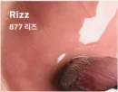877 Rizz