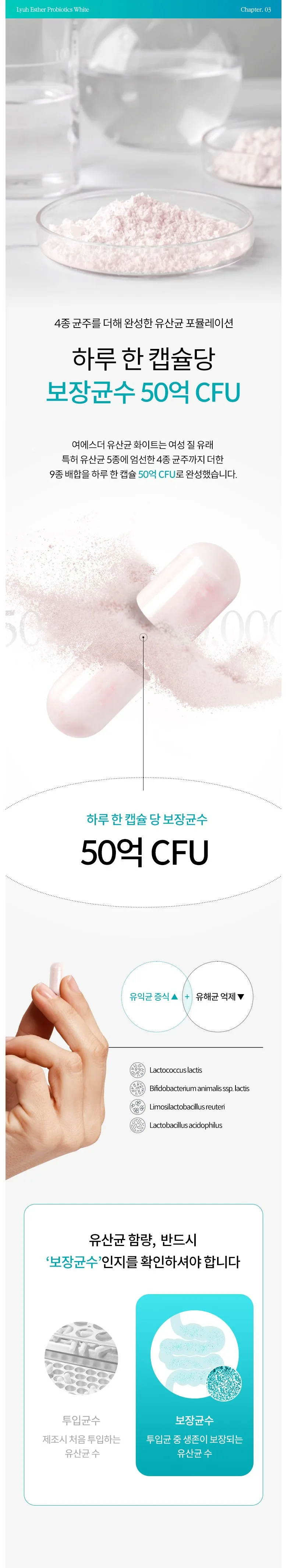 Product Information