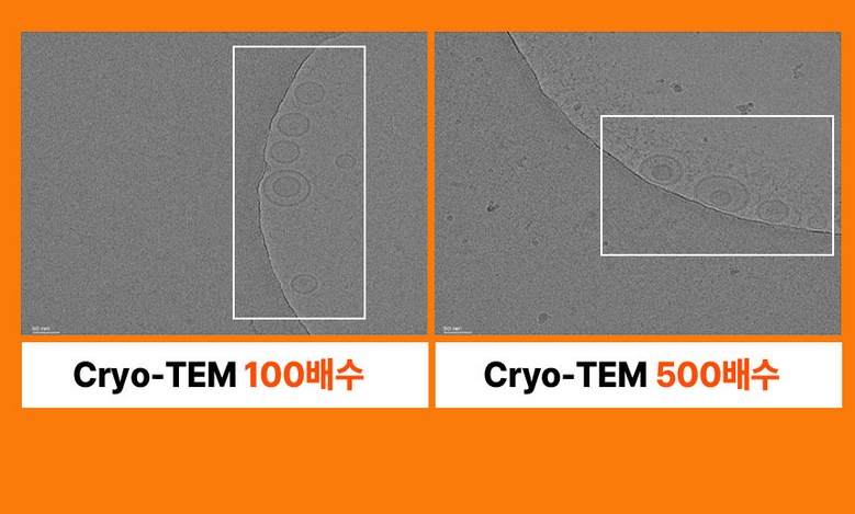Helperin Kamut Enzyme Detail 9