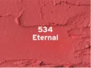 534 Eternal