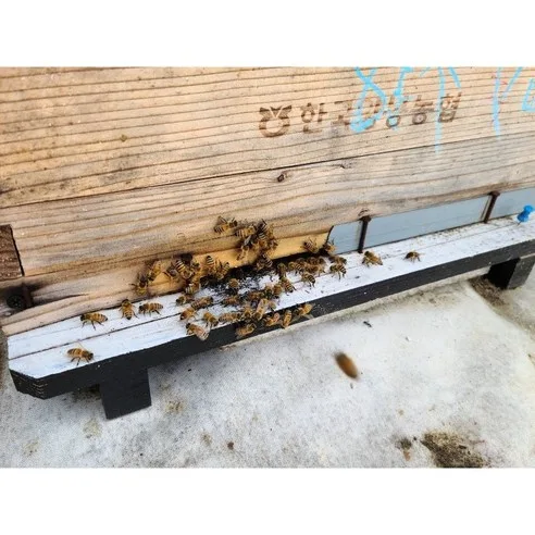 Sobaeksan Cheongjeong Farm 100% Natural Acacia Honey 2.4kg - Image 2