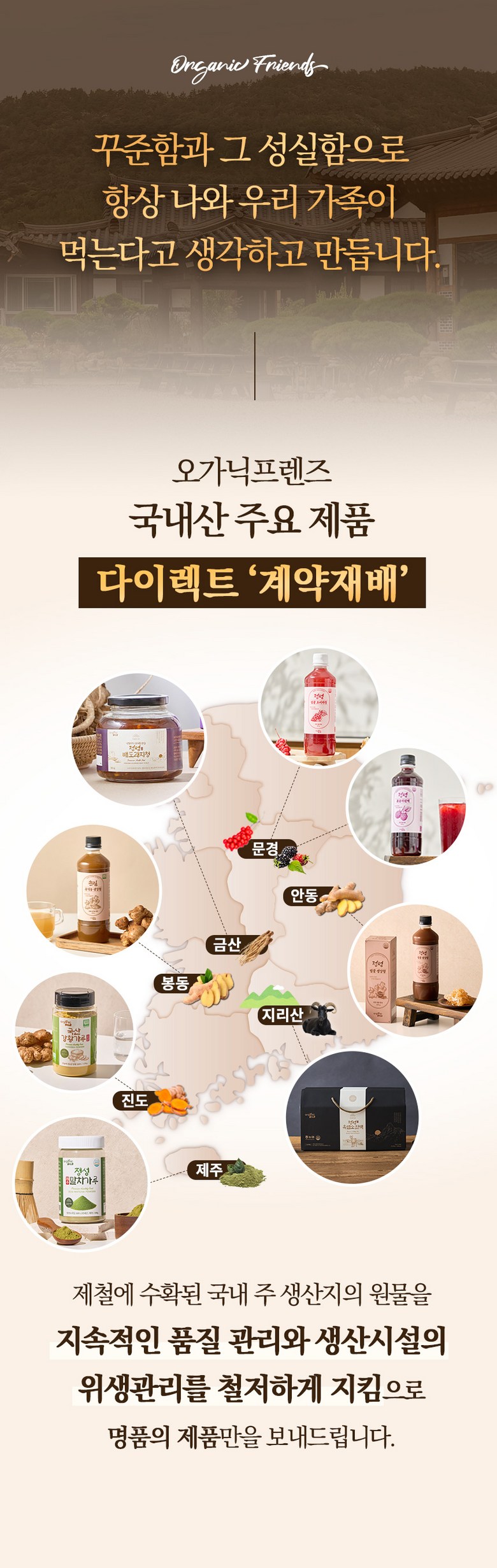 Organic Friends Jeju Premium Matcha Powder