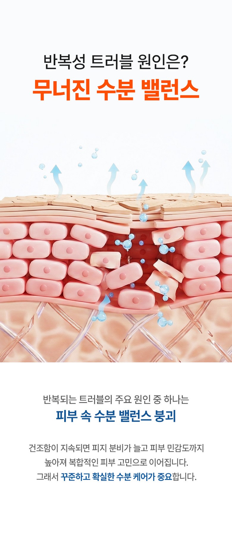 Lyanature Cream Young Detail 8