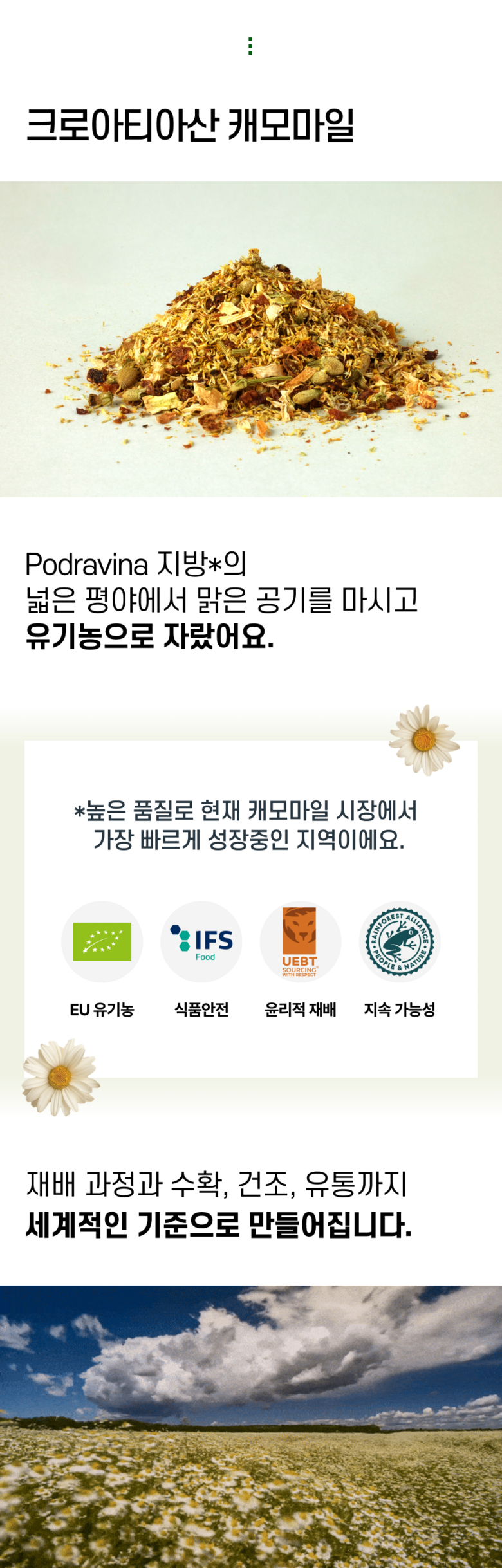 Mallet Chamomile Yuzu Tea