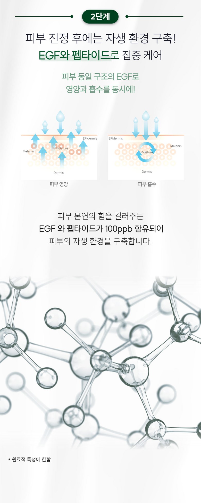 Wizardlab Green Magic Repair Cream Detail 7