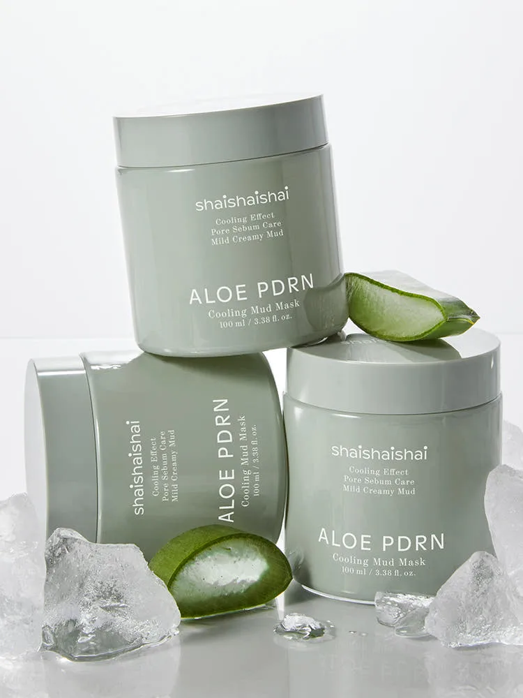 SHAISHAISHAI Aloe PDRN Cooling Mud Mask 100ml - Image 3