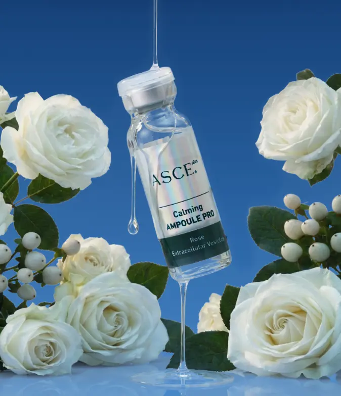 ASCEplus Rose-Exosome Skin Boosting Ampoule Pro 3.5ml x 5 Vials - High Concentration, 7-Day Skin Resuscitation