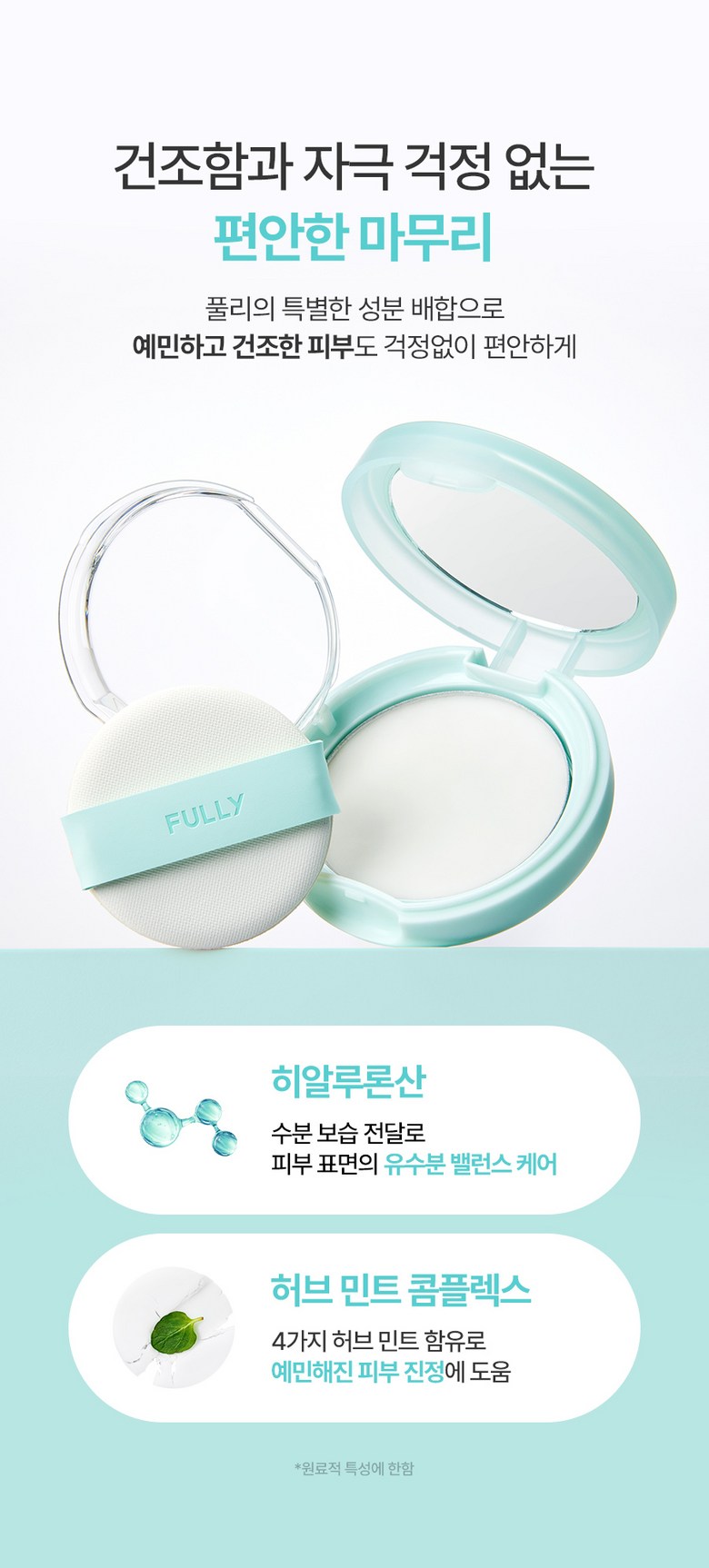 FULLY Pulli No-Sebum Jelly Powder (Transparent) - 1 Piece Detail