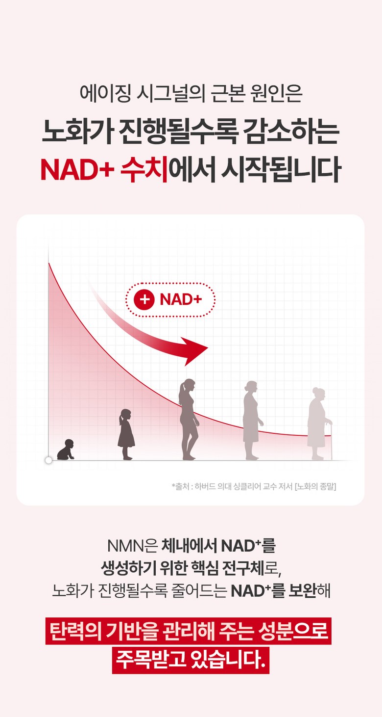 FULLY NMN NAD Elasticity Serum 50ml - Essence / Serum / Ampoule Detail