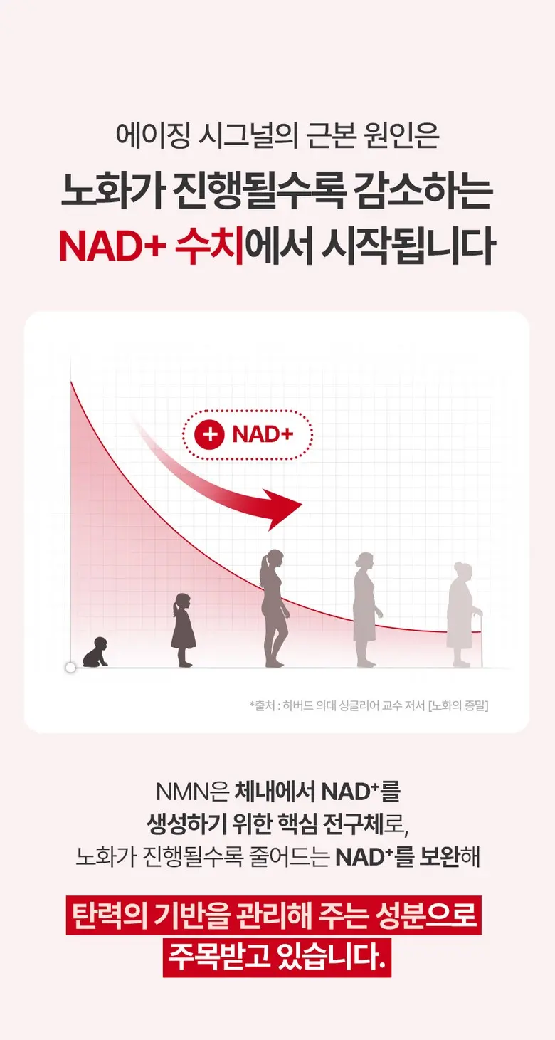 FULLY NMN NAD Elasticity Serum 50ml - Essence / Serum / Ampoule Detail