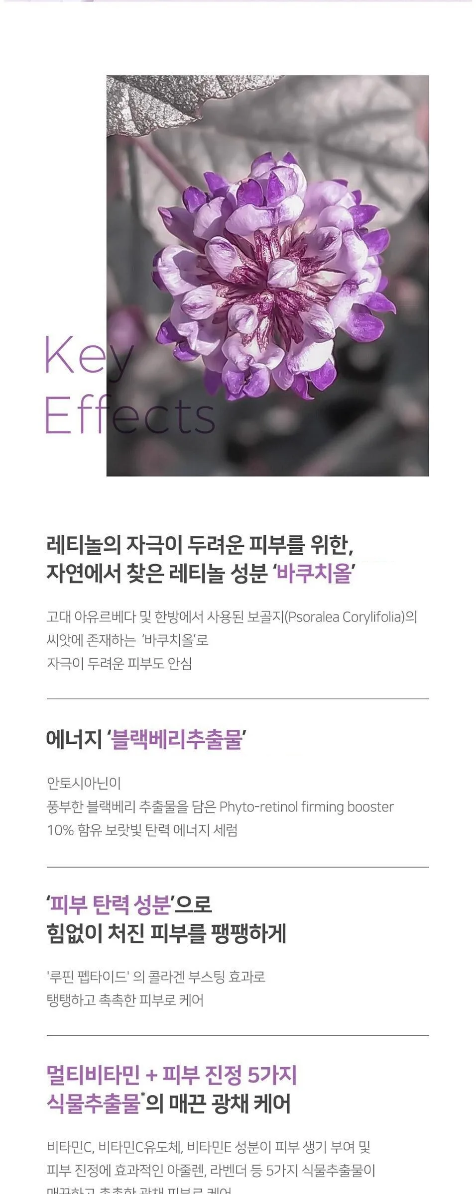 NEOGEN Real Bakuchiol Firming Serum 30ml Detail