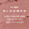 04 Bloomed