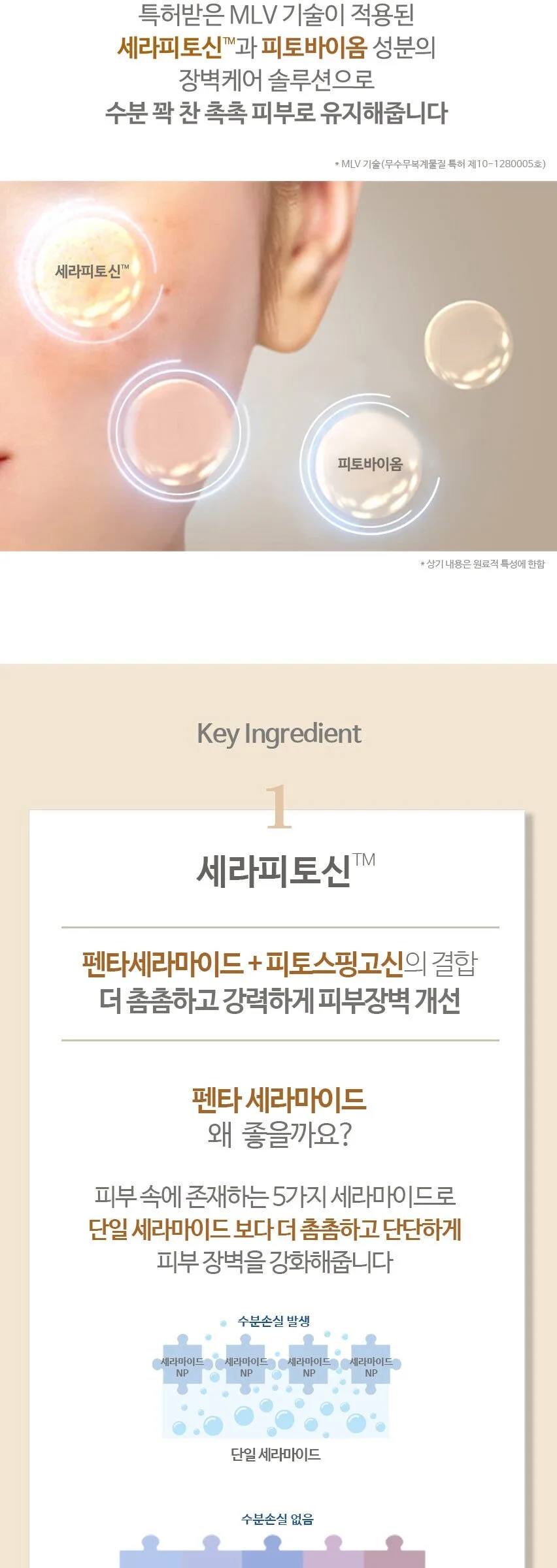 MY SKIN SOULOGY Cerapytosin Moist Booster Ampoule 50ml Detail
