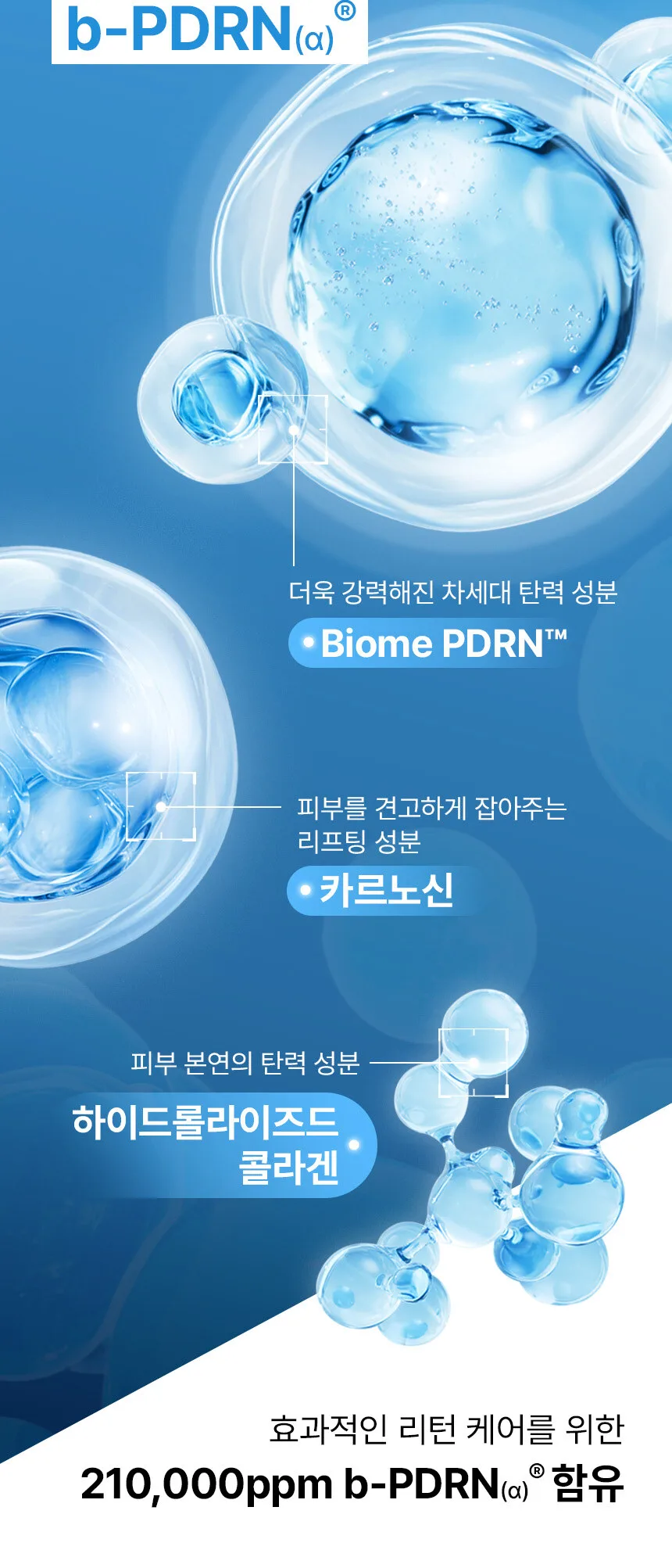 BANOBAGI PDRN 500 Lifting Ampoule 30ml Detail