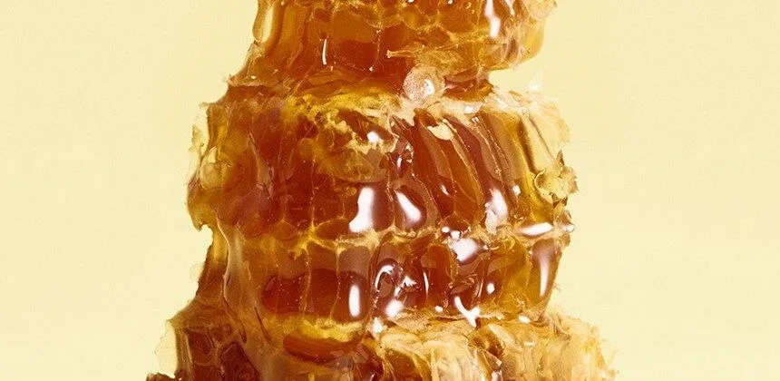 OSULLOC Kombucha 5g*10ea Detail