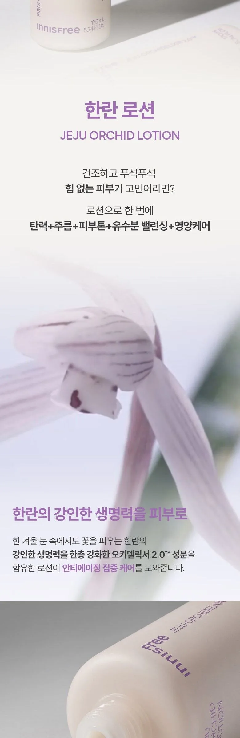 Innisfree Hanran Orchid Skin + Lotion Set Detail