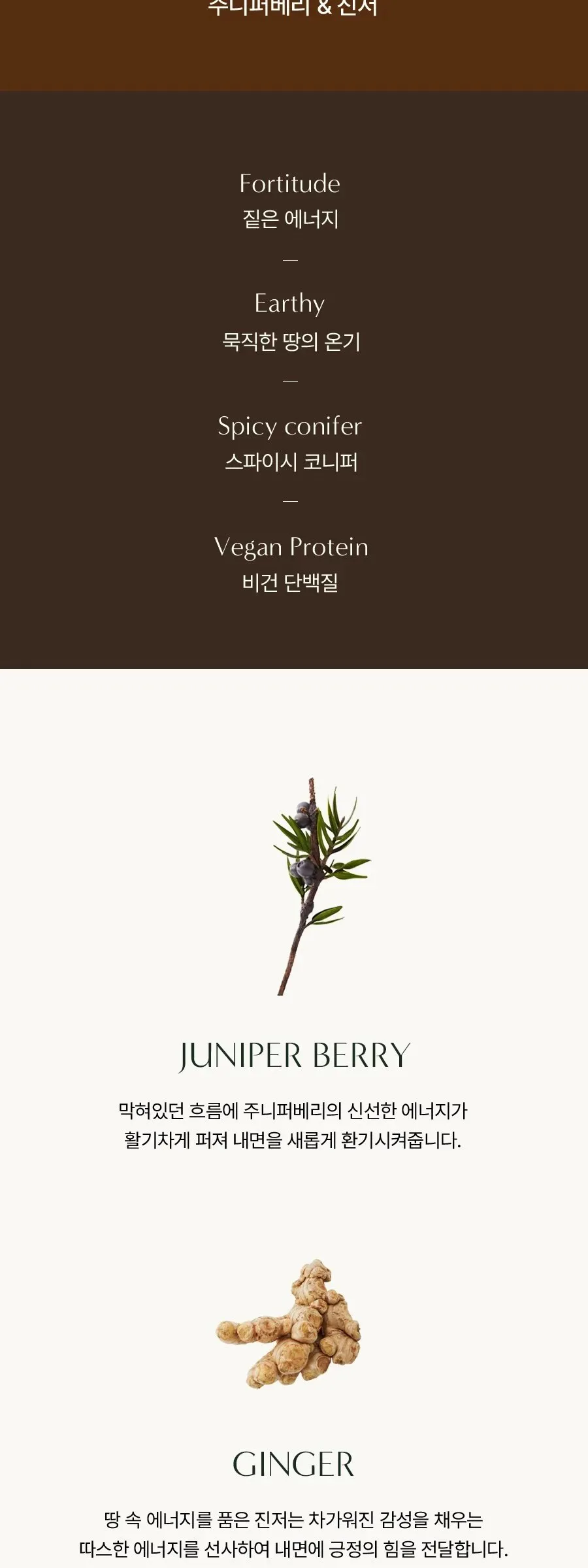 AROMATICA Circulating Juniper Berry & Ginger Body Oil 100ml Detail