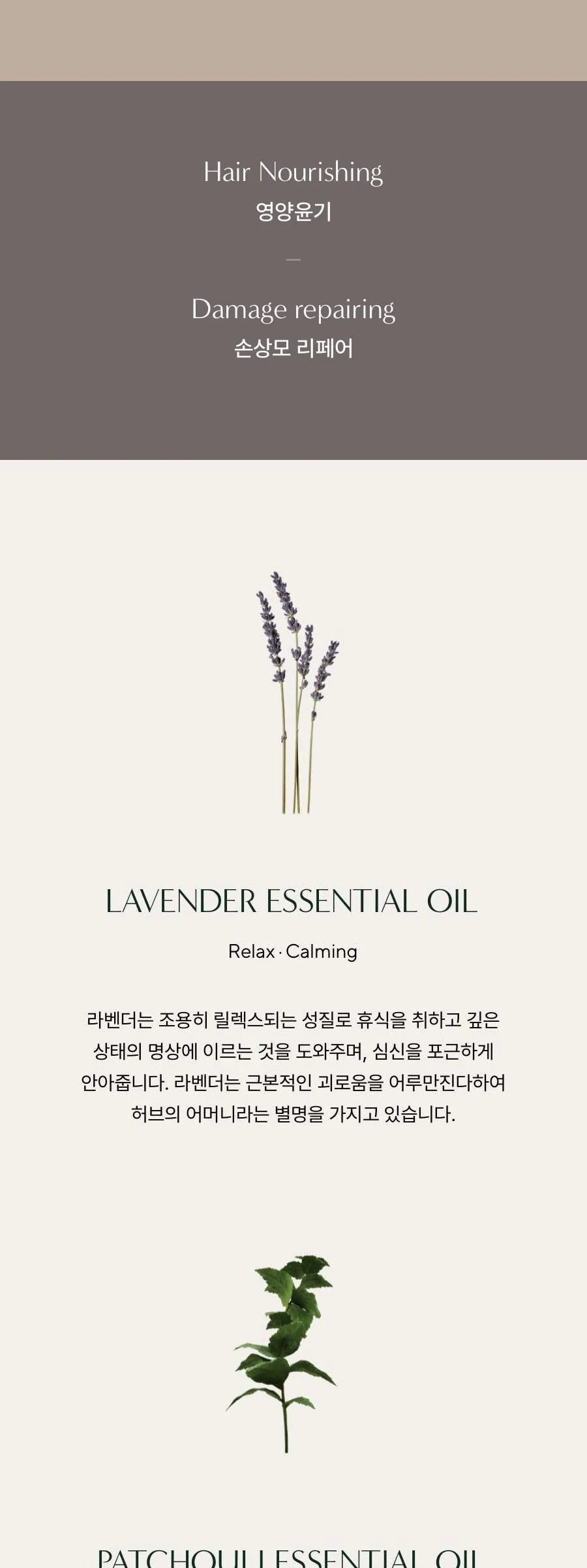 AROMATICA Ritual Hair Oil Lavender & Patchouli 50ml Detail
