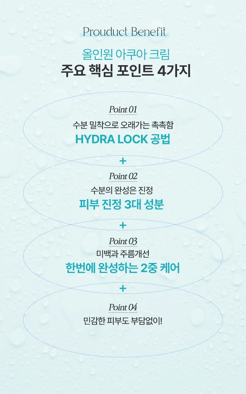 17 Hours All-in-One Aqua Cream 60ml (1 Piece) Detail