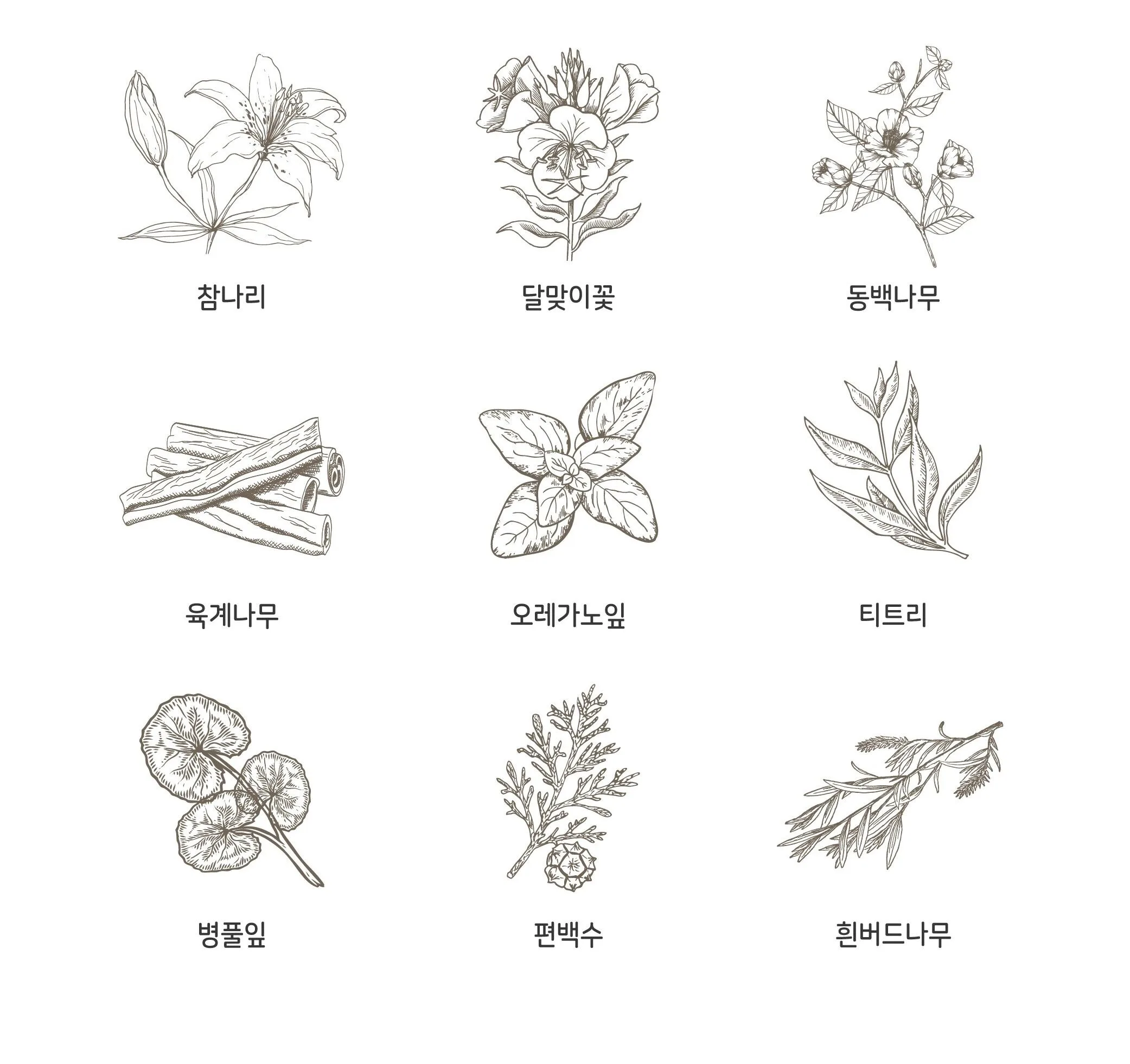 MY EARTHSDAY Calming Solution Mask Pack 18g x 5 Sheets Detail