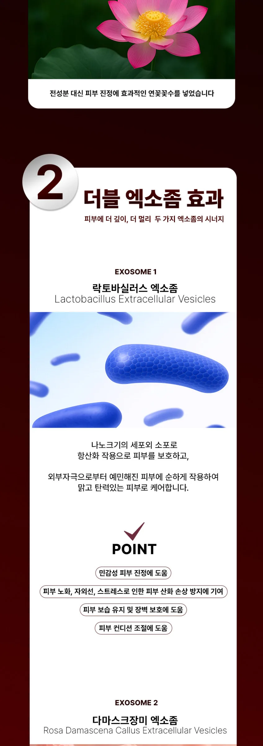 ki cosmetics Stem Cell Exosome Skin Booster Kit (Ampoule 30ml+Stem Cell 0.35ml*5ea) Detail