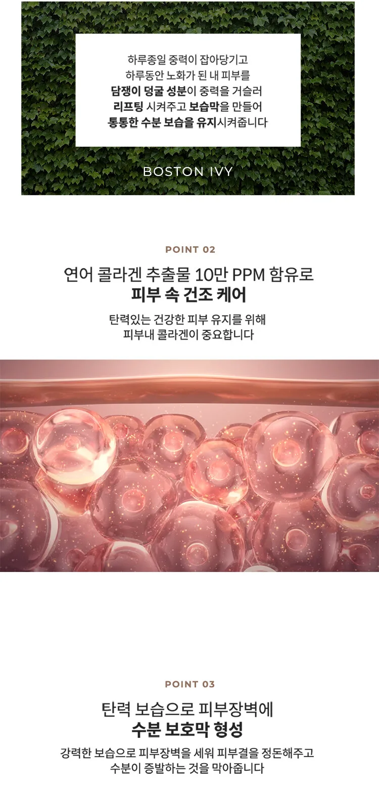 KAHI Wrinkle Bounce Core Cream 50ml Detail